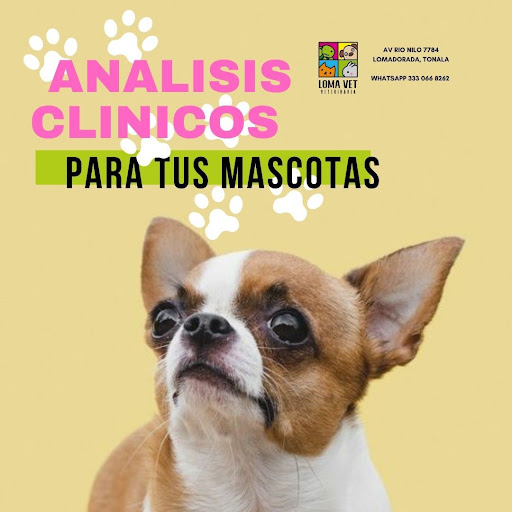 LOMA VET