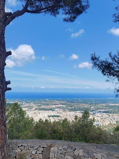 Selva di Fasano - Thumbnail