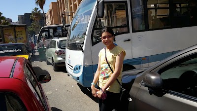 Photos of ستاد جامعة الاسكندرية