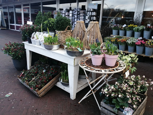 Winkelcentrum d'Anloop - Visual