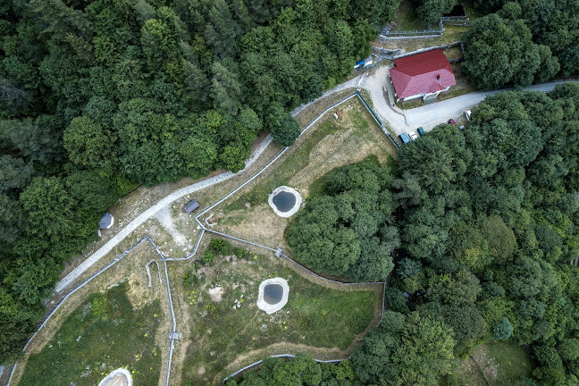 Comentarii opinii despre ПАРК ЗА МЕЧКИ Белица