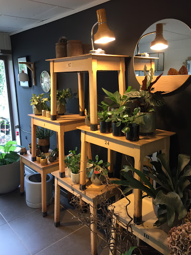De Binnentuin - Visual