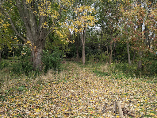 Norm Jary Park - Thumbnail