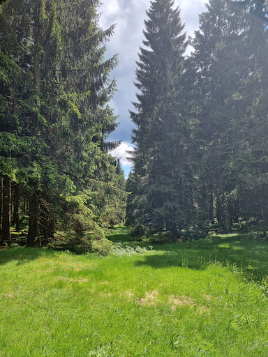 Alte Tränke - Visual