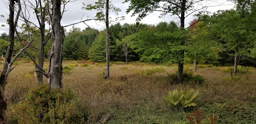 Beaver Run Pond Wildlife Viewing Area Parking Gallery - United States