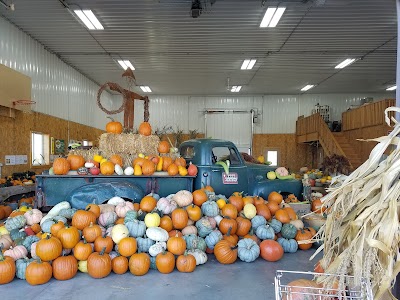 Pumpkins On Garfield Corn Maze