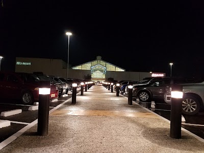 Photos of TOYOTA TOLUCA