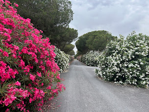 Photo n°6 de Arboretum C.C.E.A.M.E à Canet-en-Roussillon (Attraction touristique)
