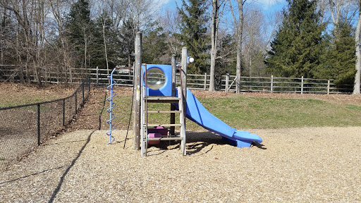 Royle Elementary School - Thumbnail