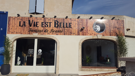La vie est Belle Institut - Thumbnail