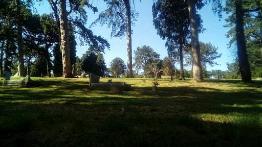 Stourbridge (Lye And Wollescote) Cemetery - Thumbnail