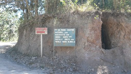 Entronque - Visual