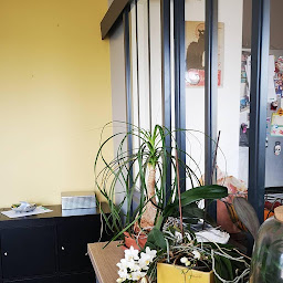 Photo n°14 de Des murs et des couleurs à La Mézière (Peintre en bâtiment)