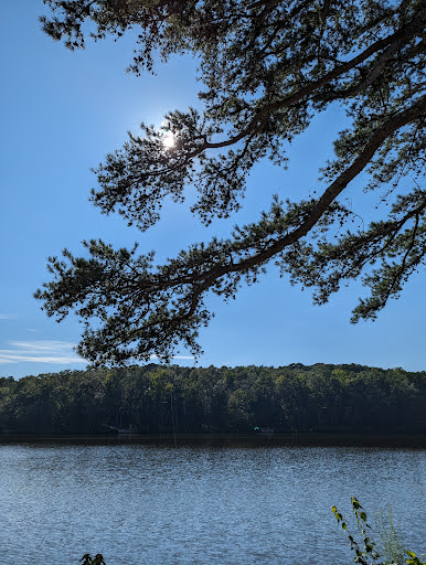 Toccoa Reservoir Loop - Visual