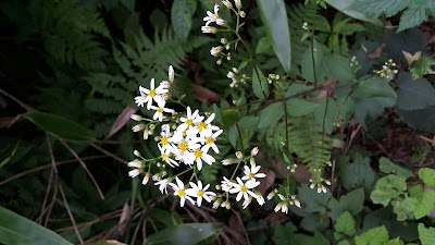 Photos of 덕태산