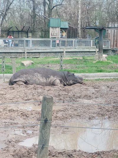 Louisiana Purchase Gardens & Zoo