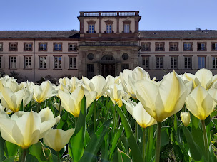Photo n°14 de Château de la Neuenbourg à Guebwiller (Attraction touristique)