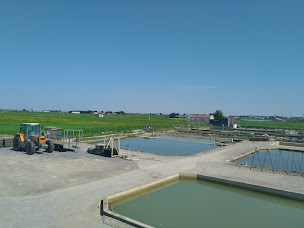 Photo n°5 de Huîtres Baptiste Raimbaud à Bouin (Fournisseur d'huîtres)