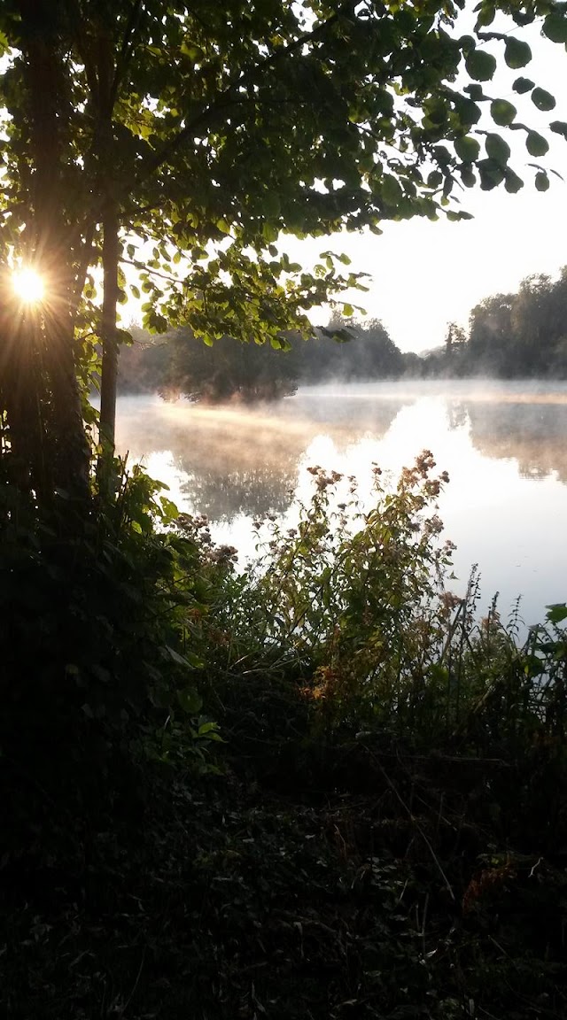Domaine de pêche (Truite, Carpe) I Etangs Saint-André - Oise (60)