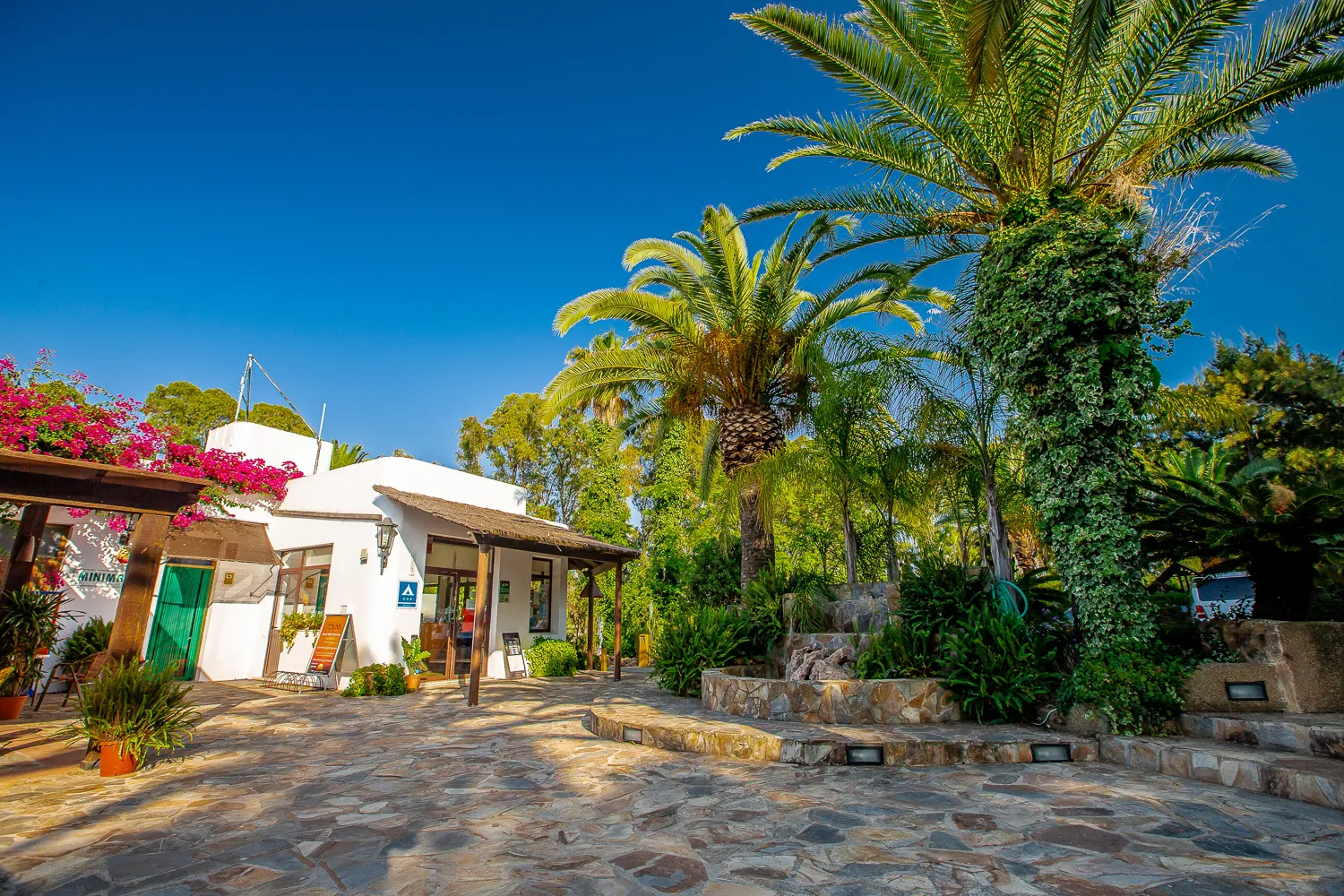 Camping Paloma
