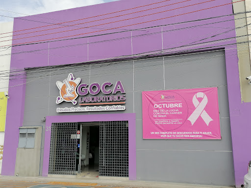 Goca - Visual