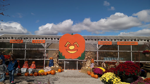 Fashion Farm Inc - United States