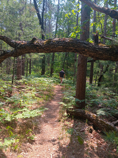 Jenks Creek Trailhead