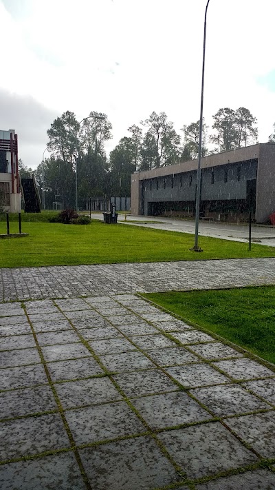 Photos of Cancha Sintetica - UACH Campus Miraflores