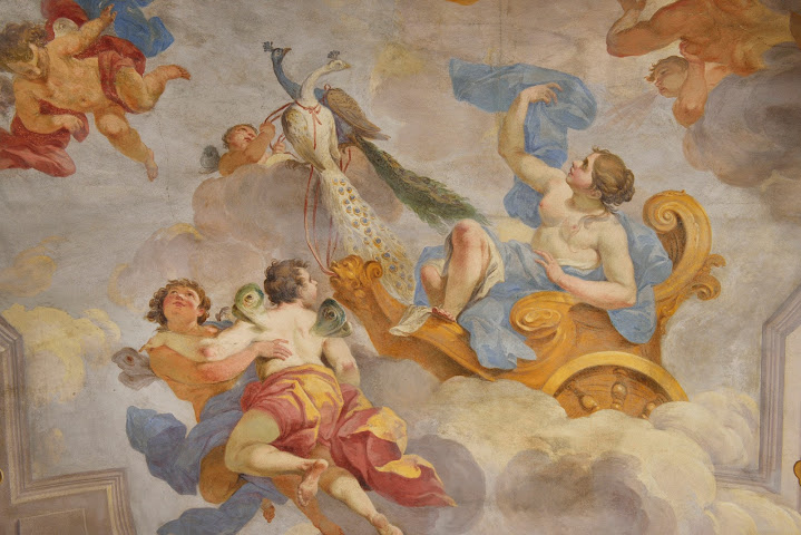 Garibaldi Blu by null