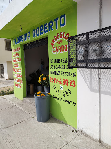 Florería "Roberto" - Visual