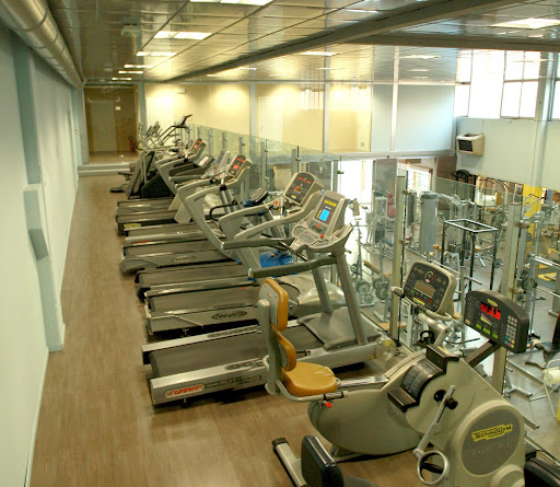 Oasi Wellness - Visual