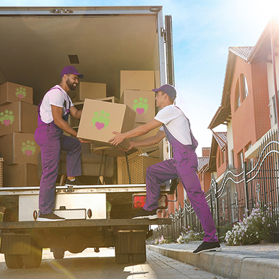 Family Movers Pro - Thumbnail