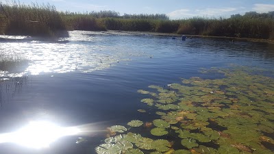 Photos of Marico Oog