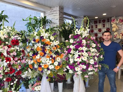 Photos of Corum hope Floriculture