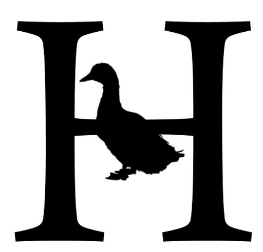 Nuck - Visual