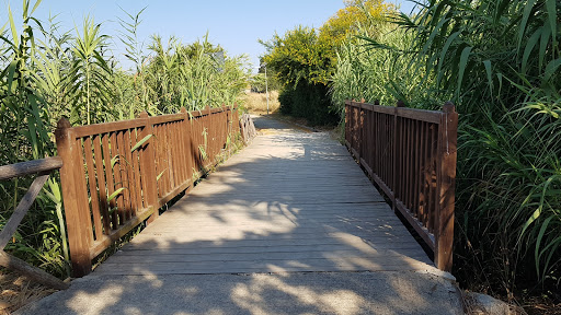 Passeggiata Pedo/Ciclabile - Thumbnail