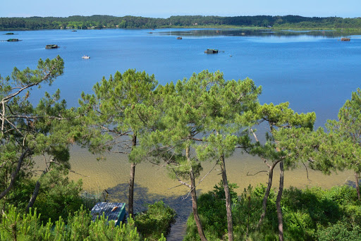 Photo de Office de Tourisme de Seignosse à Seignosse (40510)
