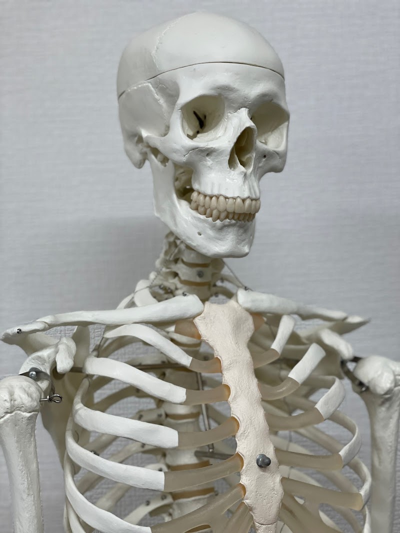 桐月接骨院 / KIRI-Lab