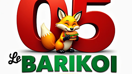 Photo 1 - Le BARIKOI 05