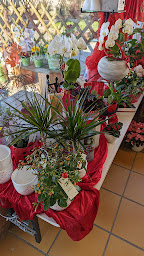 Photo n°11 de Sur Une Note Fleurie à Mothern (Fleuriste)