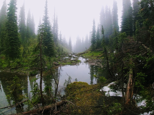 Lily Lake Campsite - Thumbnail