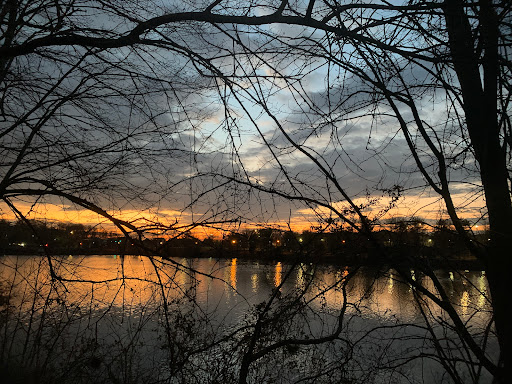Kingstowne Lake Gallery - United States