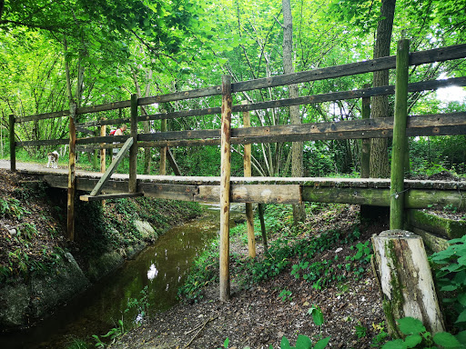 Sentieri Natura San Zenone degli Ezzelini - Thumbnail