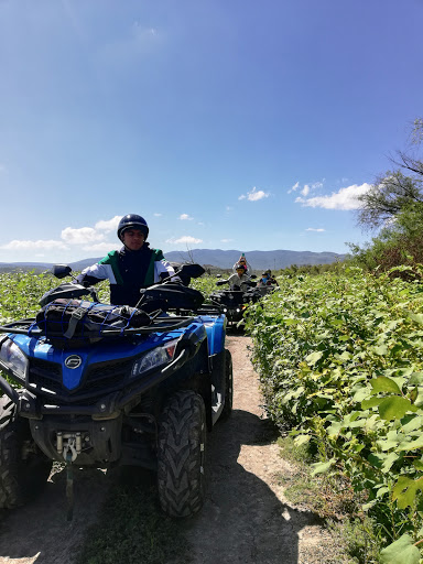 Cuatri Rent tours en cuatrimotos Gallery - Mexico