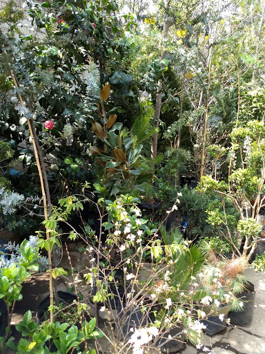 Jardines flores