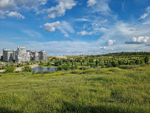 Valdebebas-Felipe VI Park - Thumbnail