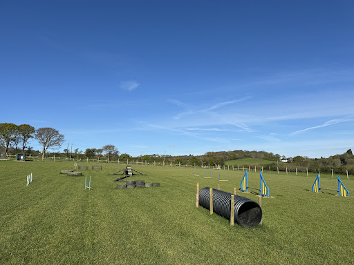Inca's Field (Dog walking field area - Incasfield.weebly.com) Gallery - United Kingdom