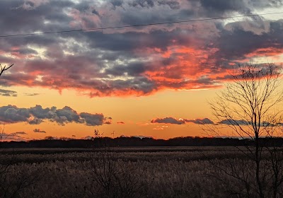 Augustine Wildlife Area