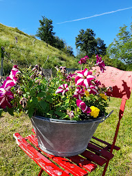 Photo n°16 de Chambre d'hôtes l'Ecrin de Verdure de Rives, la nature aux portes de Voiron à Rives (Piscine)
