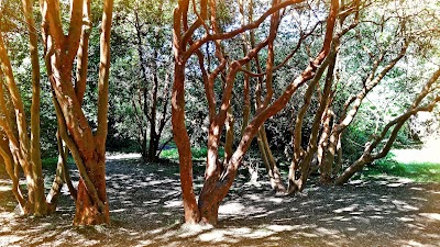 Photos of Universidad Austral de Chile